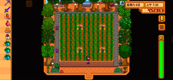 星露谷物语暗室选什么