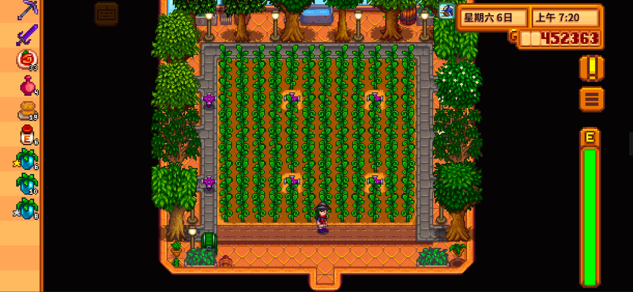 星露谷物语暗室选什么