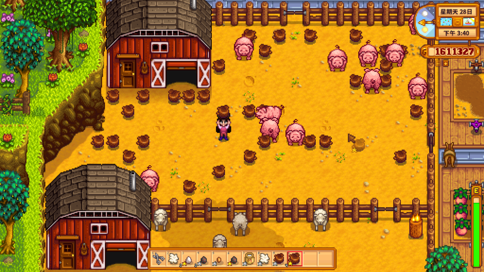 星露谷物语刚开始怎么赚钱