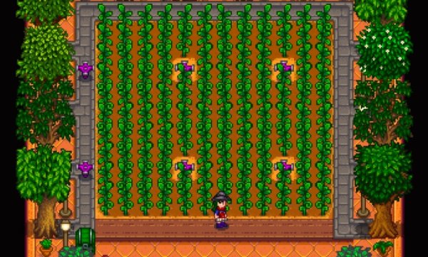 星露谷物语洒水器在哪里买