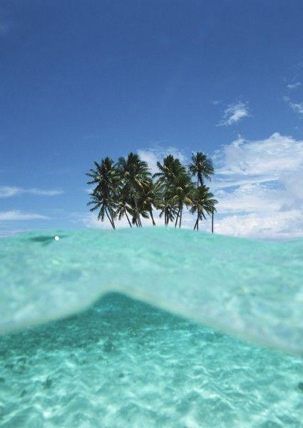 椰树海滨逃脱手游下载_椰树海滨逃脱官网下载_手机安卓苹果app