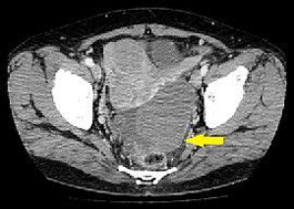 会医手机版下载