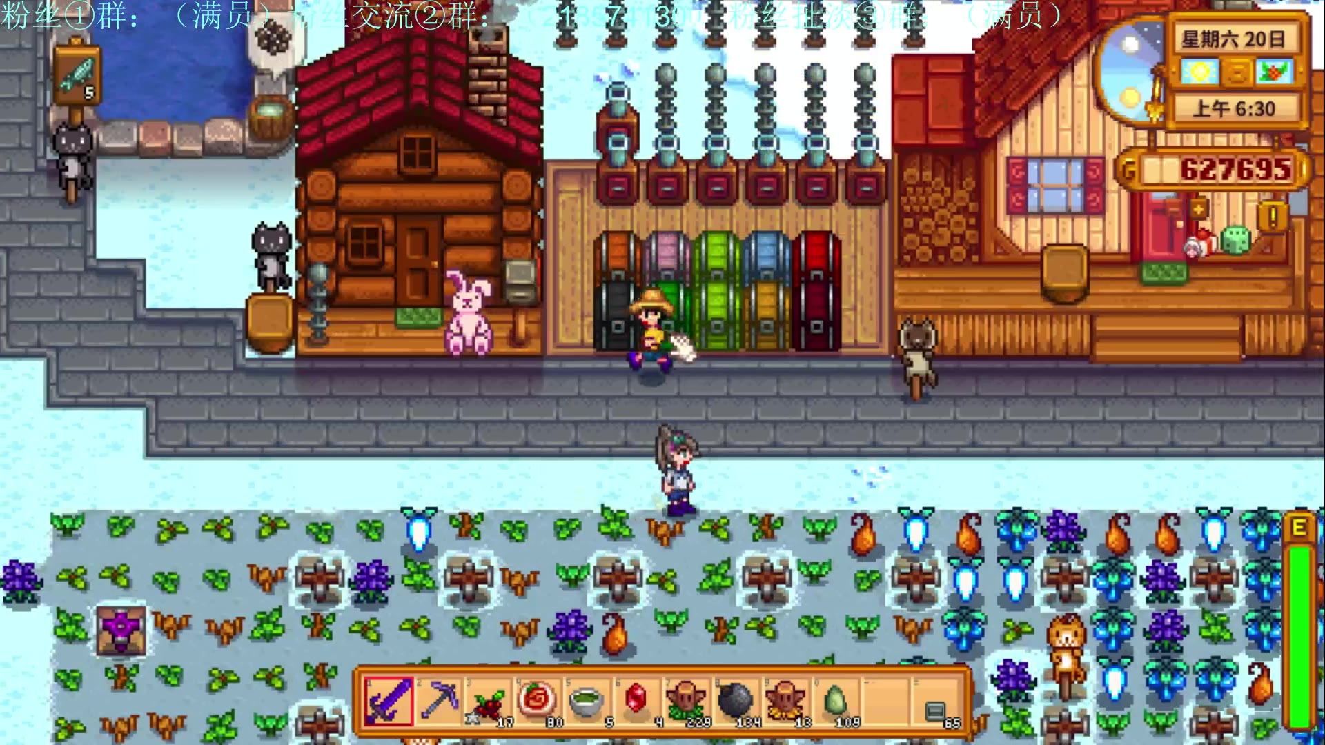 星露谷物语如何养鸡 星露谷物语如何养鸡