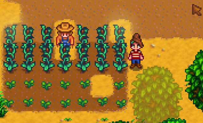 星露谷物语什么树出来好看