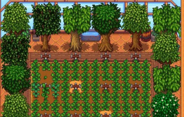 星露谷物语什么树出来好看