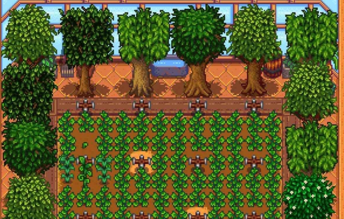 星露谷物语什么树出来好看