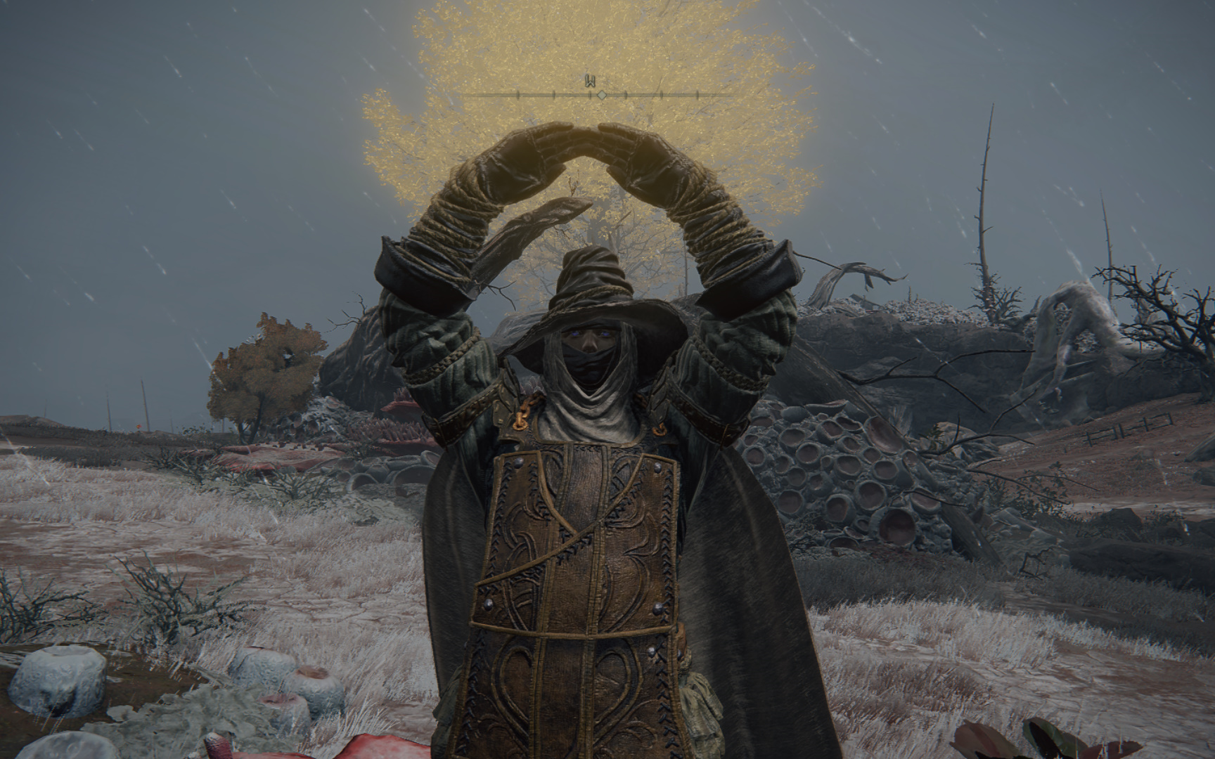 艾尔登法环物品介绍怎么看