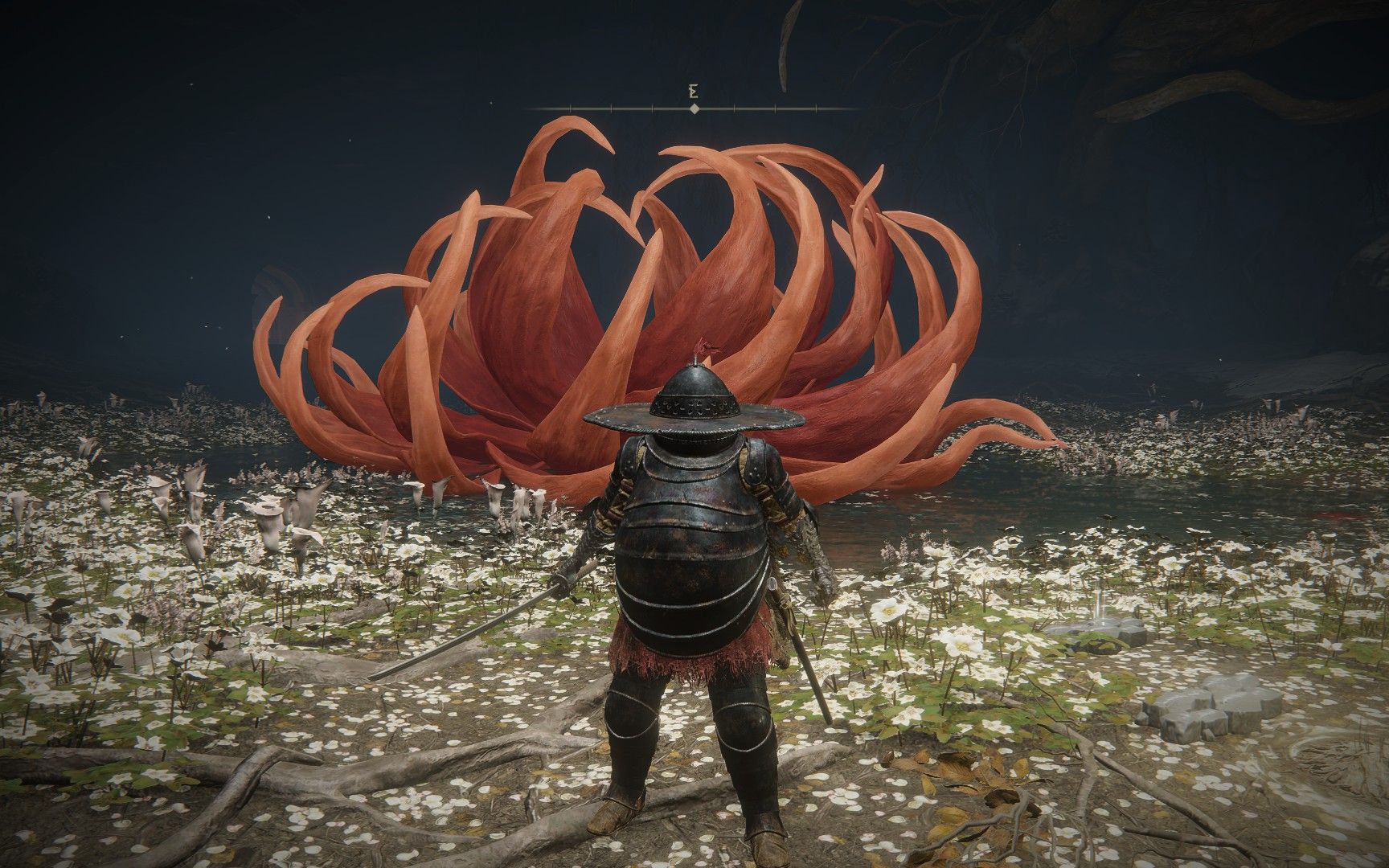 艾尔登法环菈妮支线剧情是什么