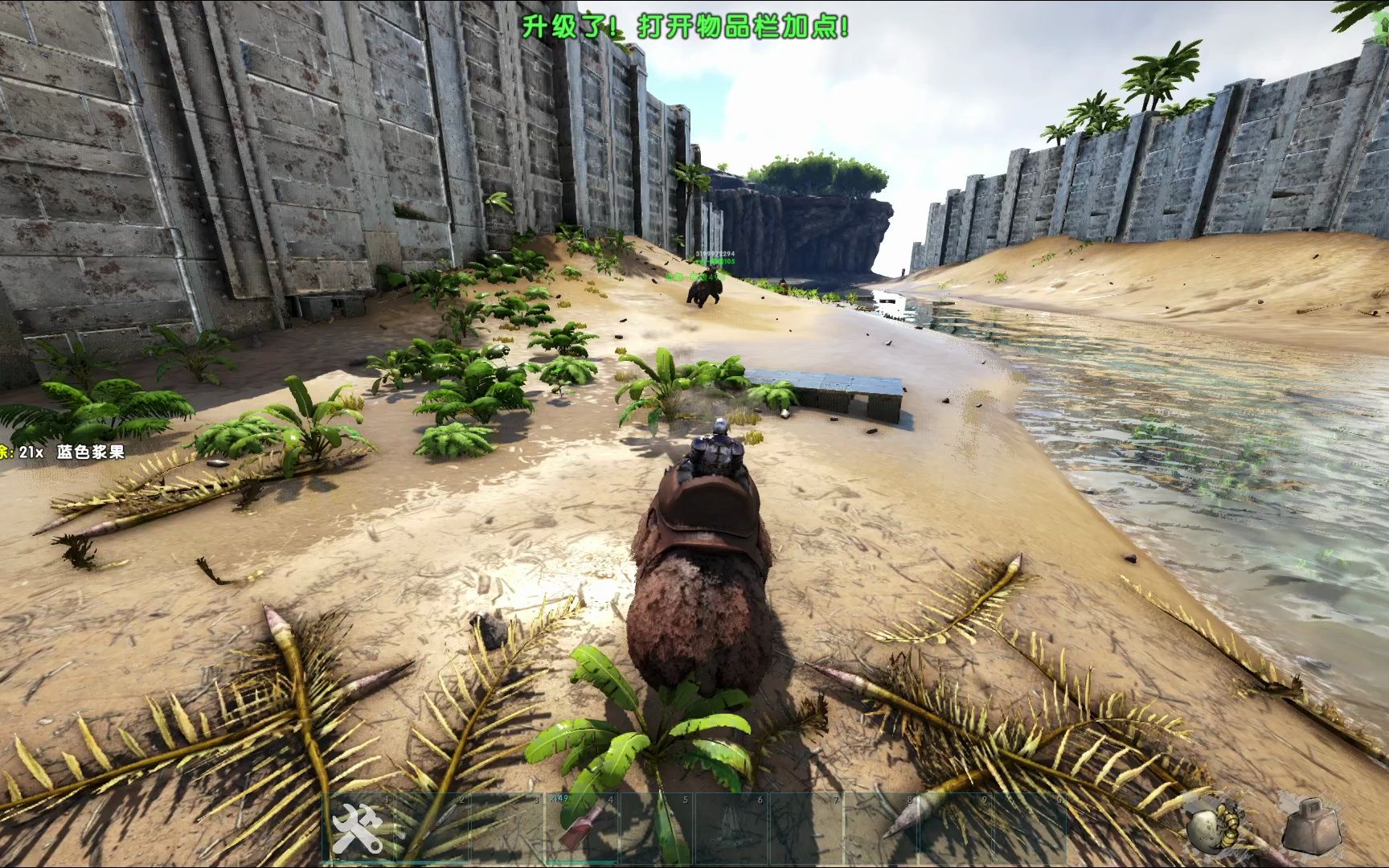 方舟生存进化pve孤岛建家位置在哪