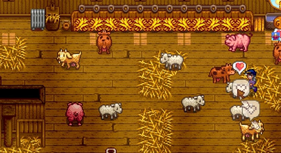 星露谷物语阿比盖尔婚后注意什么