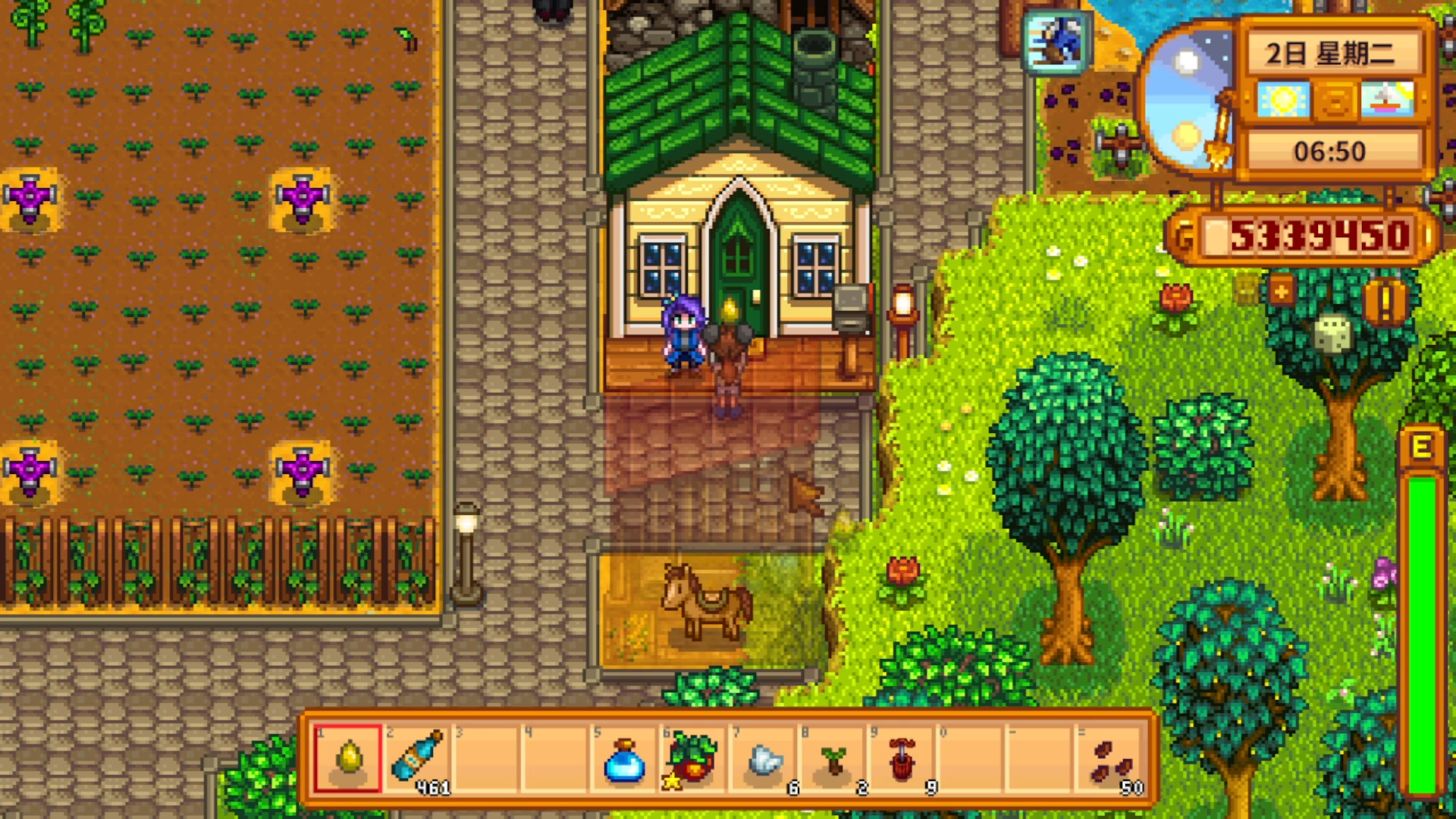 星露谷物语特殊任务栏是什么