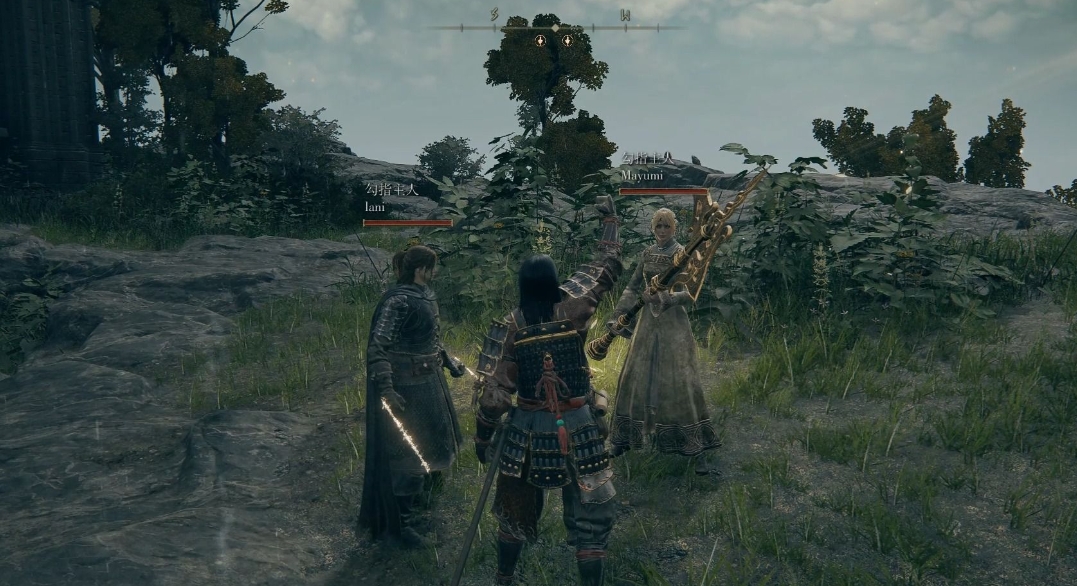 艾尔登法环开局职业怎么选择 艾尔登法环开局职业怎么选择