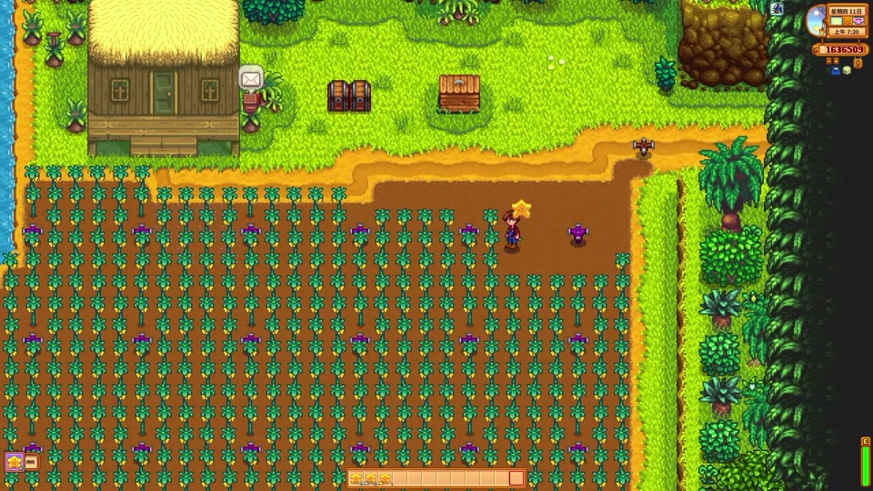 星露谷物语姜岛种植任务怎么玩 星露谷物语姜岛种植任务怎么玩