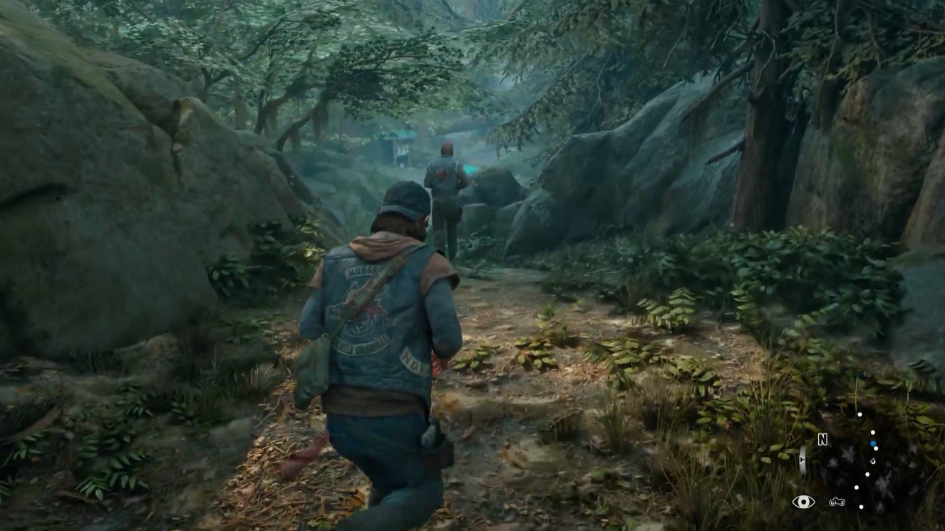 往日不再植物有什么用