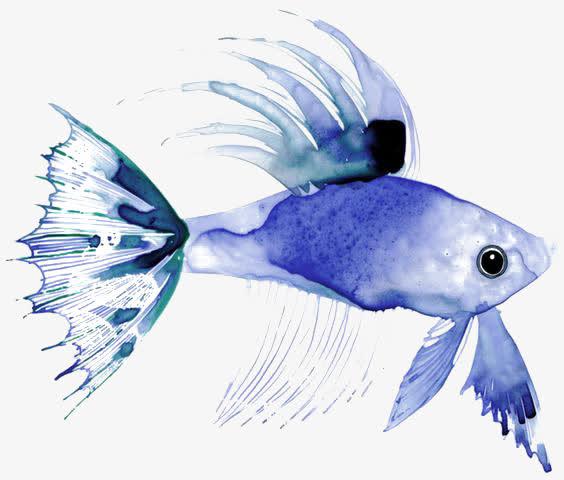 掉落蓝色小鱼选关版手游下载_掉落蓝色小鱼选关版官网下载_手机安卓苹果app