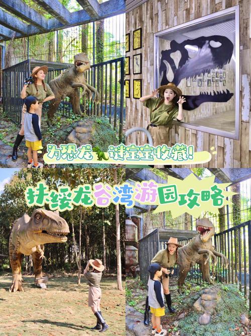 龙谷2新手入门到精通全攻略_龙谷2最新玩法技巧与通关秘籍