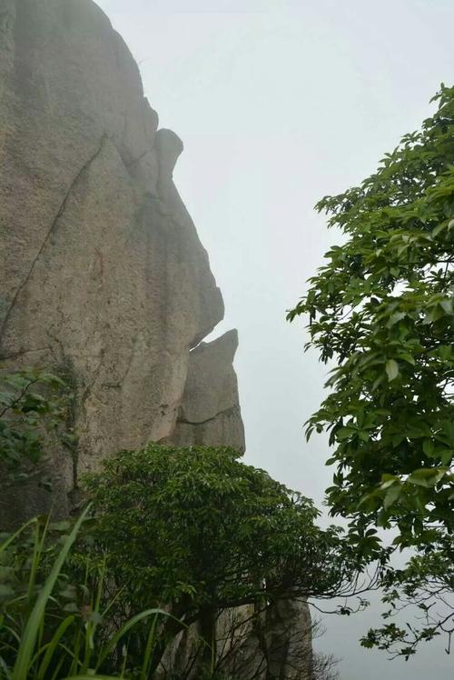 龙脊背最全游戏攻略解说_龙脊背最新游戏技巧通关