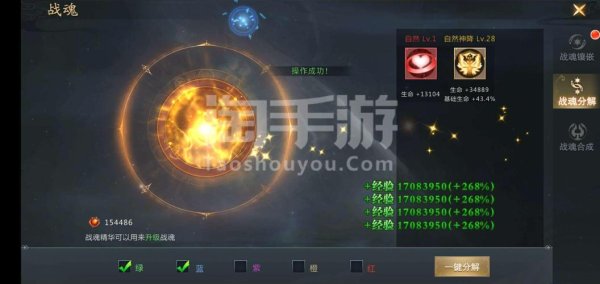 龙纪元战魂搭配与资源管理攻略_龙纪元高效战斗技巧解析