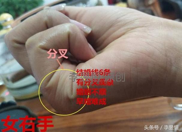 掌纹爱情线游戏下载_掌纹爱情线官网下载_安卓苹果app