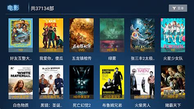 293影院40手机版下载