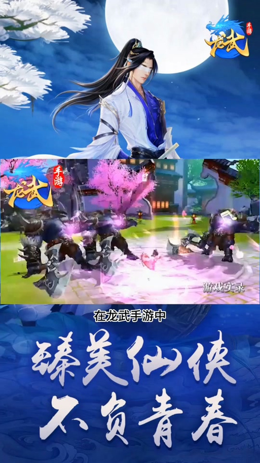 龙武手游全职业攻略解说_龙武手游最新玩法技巧通关