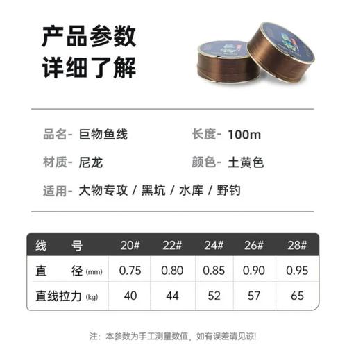 龙尼最全游戏攻略解说_龙尼最新游戏技巧通关