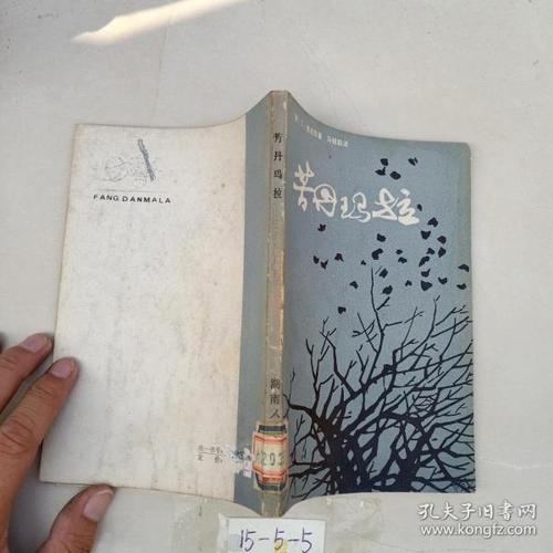 龙尼最全游戏攻略解说_龙尼最新游戏技巧通关