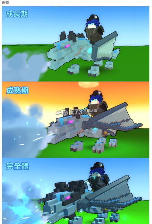 龙宠全流程攻略详解_龙宠最新玩法技巧汇总