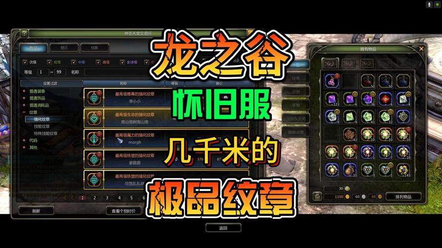 龙之谷2新手入门到高手进阶攻略_龙之谷2最新技巧秘籍全解析