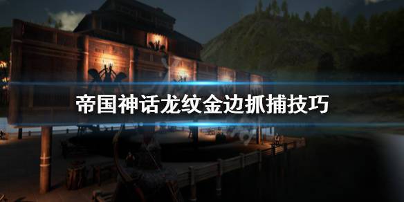 龙之息新手入门到精通攻略_龙之息高效玩法技巧汇总