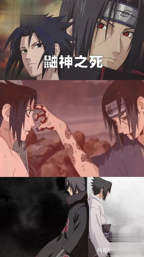 鼬神游戏攻略全解析_鼬神最新技巧助你轻松通关