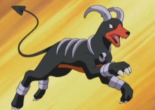 黑鲁最全游戏攻略解说_黑鲁最新游戏技巧通关