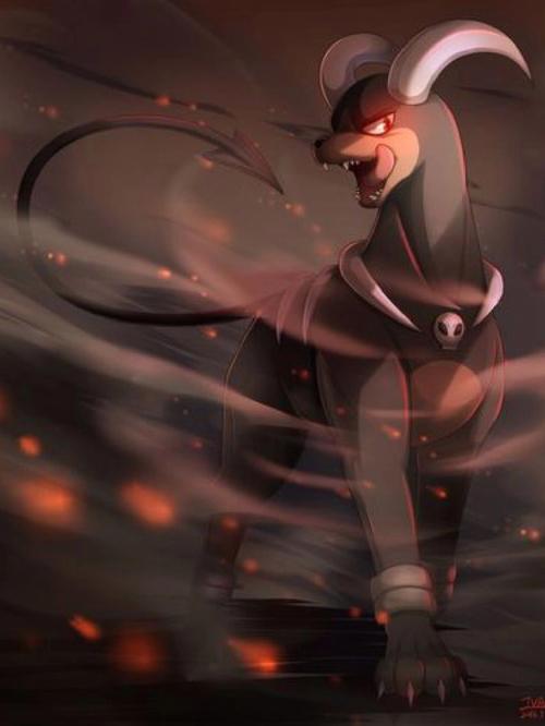 黑鲁加最强技能搭配与阵容组合_黑鲁加实战技巧全解析