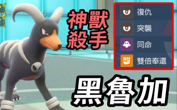 黑鲁加最强技能搭配与阵容组合_黑鲁加实战技巧全解析
