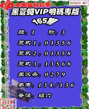 黑苍蝇彩报最全游戏攻略解说_黑苍蝇彩报最新游戏技巧通关
