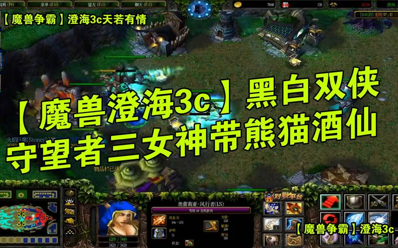 黑白双侠最全游戏攻略解说_黑白双侠最新游戏技巧通关