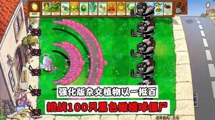 黑橄榄球僵尸最全游戏攻略解说_黑橄榄球僵尸最新游戏技巧通关