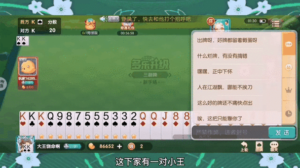 黑桃k图片游戏最全攻略解说_黑桃k图片游戏最新技巧通关