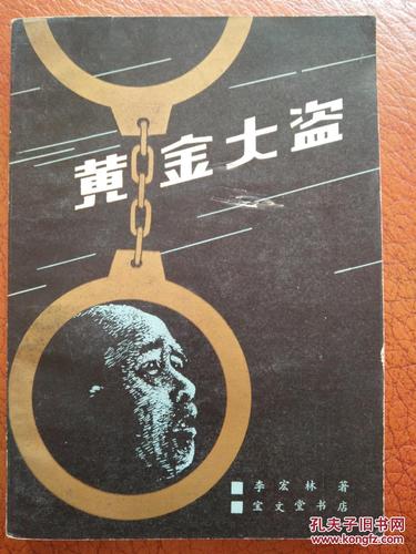 黄金大盗最全游戏攻略解说_黄金大盗最新游戏技巧通关