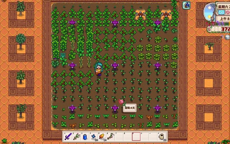 黄金南瓜最全游戏攻略解说_黄金南瓜最新游戏技巧通关