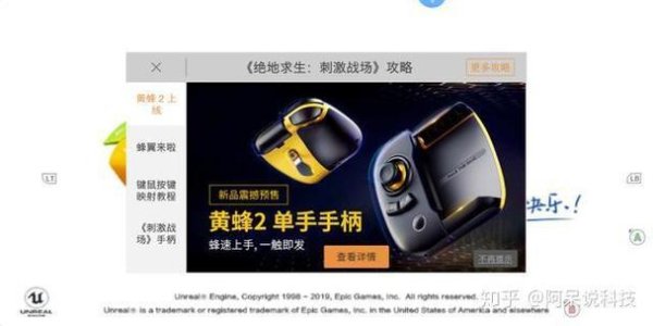 黄蜂后游戏攻略全解析_黄蜂后最新通关技巧