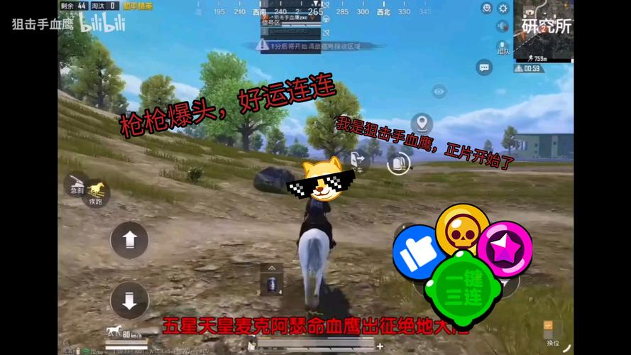 鹰血最全游戏攻略解说_鹰血最新游戏技巧通关