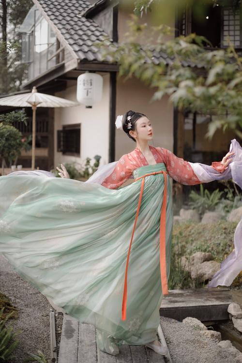 鹤音最全游戏攻略解说_鹤音最新游戏技巧通关