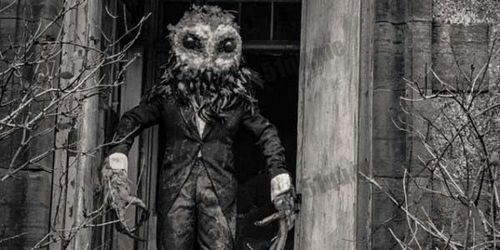 鸮人游戏全流程攻略及技巧解析_鸮人最新通关秘籍分享