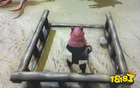 黄昏鸟最全游戏攻略解说_黄昏鸟最新游戏技巧通关