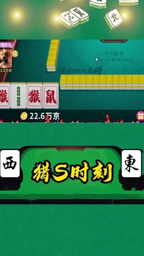 麻将网最全游戏攻略解说_麻将网最新游戏技巧通关