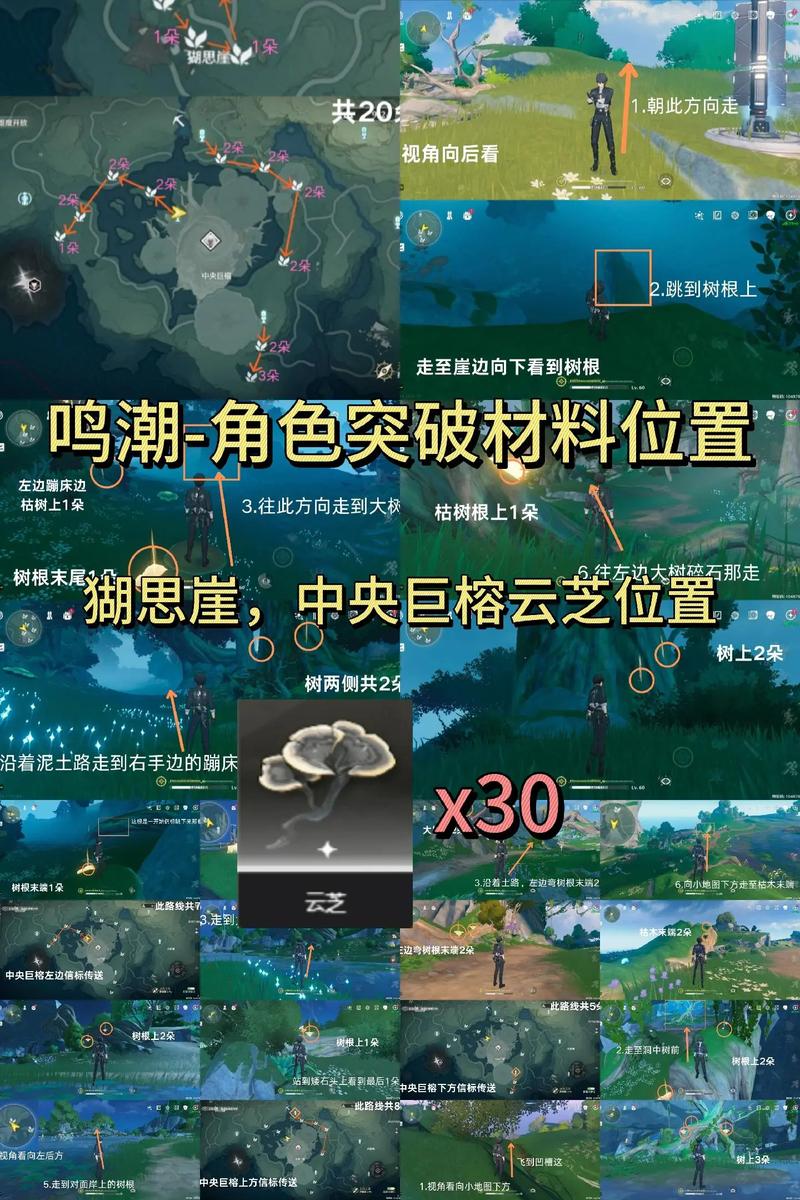 鸣潮官网最全游戏攻略解说_鸣潮官网最新游戏技巧通关