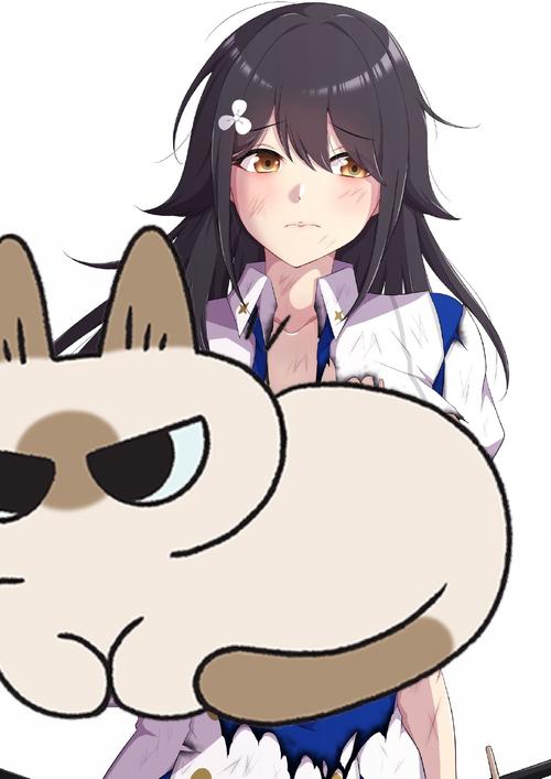 鸟海最全游戏攻略解说_鸟海最新游戏技巧通关