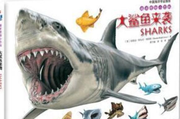 鲨鱼来袭最全游戏攻略解说_鲨鱼来袭最新游戏技巧通关