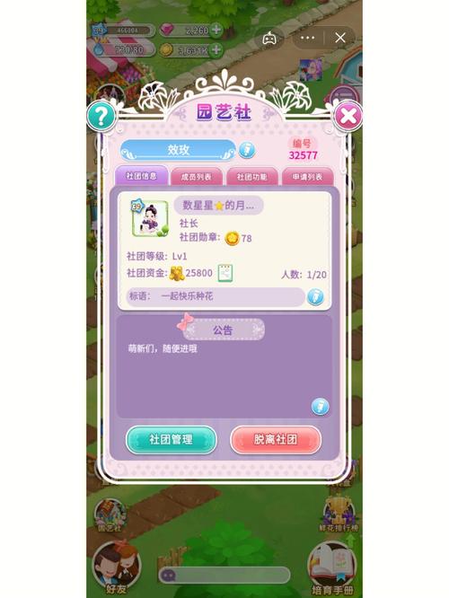 鲜花小镇最全游戏攻略解说_鲜花小镇最新游戏技巧通关